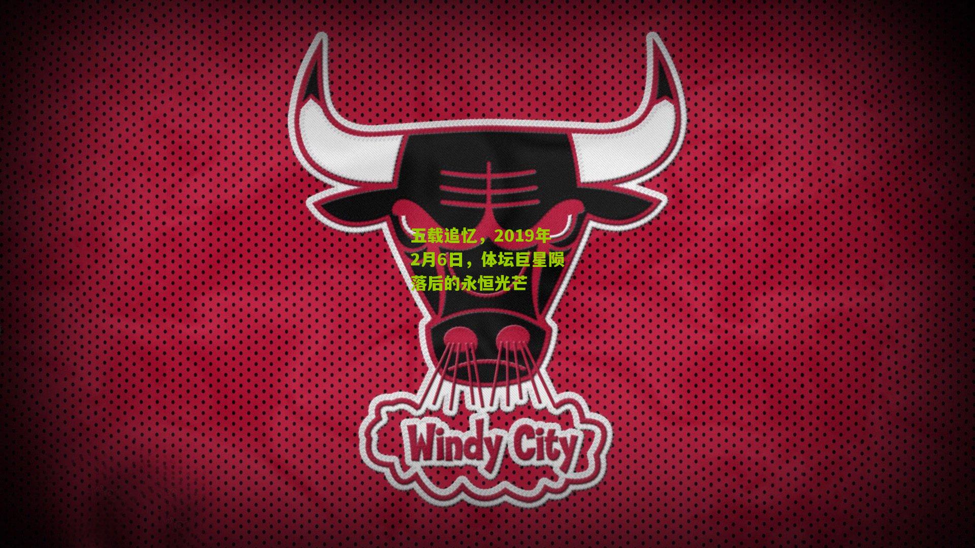 五载追忆，2019年2月6日，体坛巨星陨落后的永恒光芒