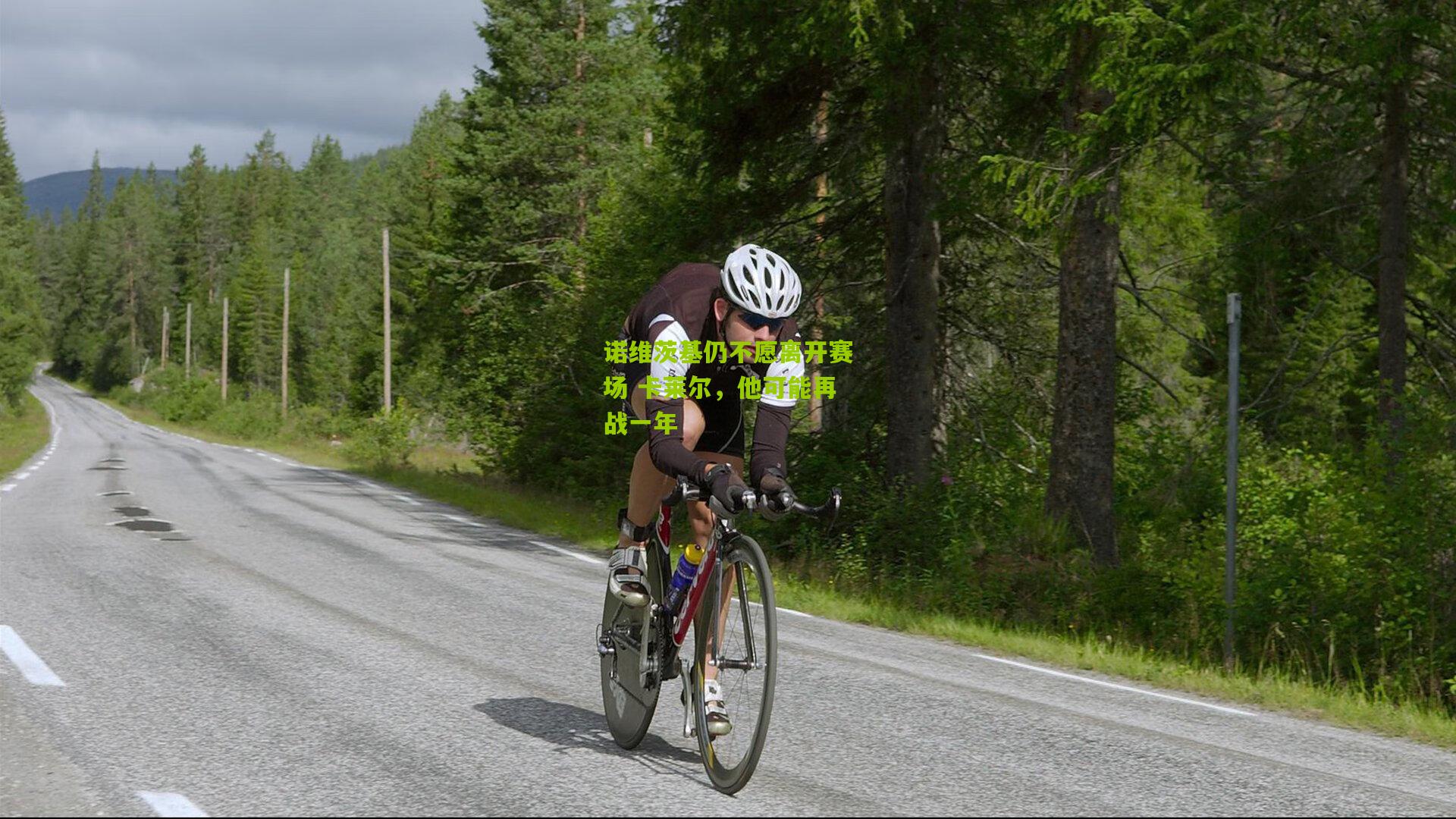 诺维茨基仍不愿离开赛场 卡莱尔，他可能再战一年