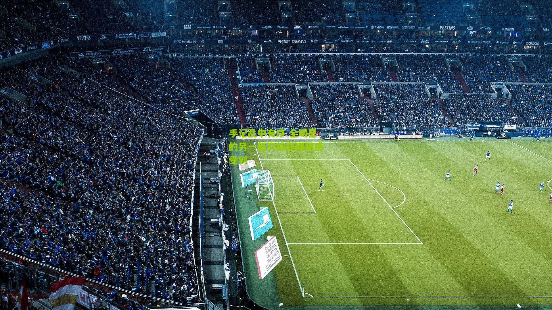 手记乱中有序 全明星的另一面只能在现场感受到