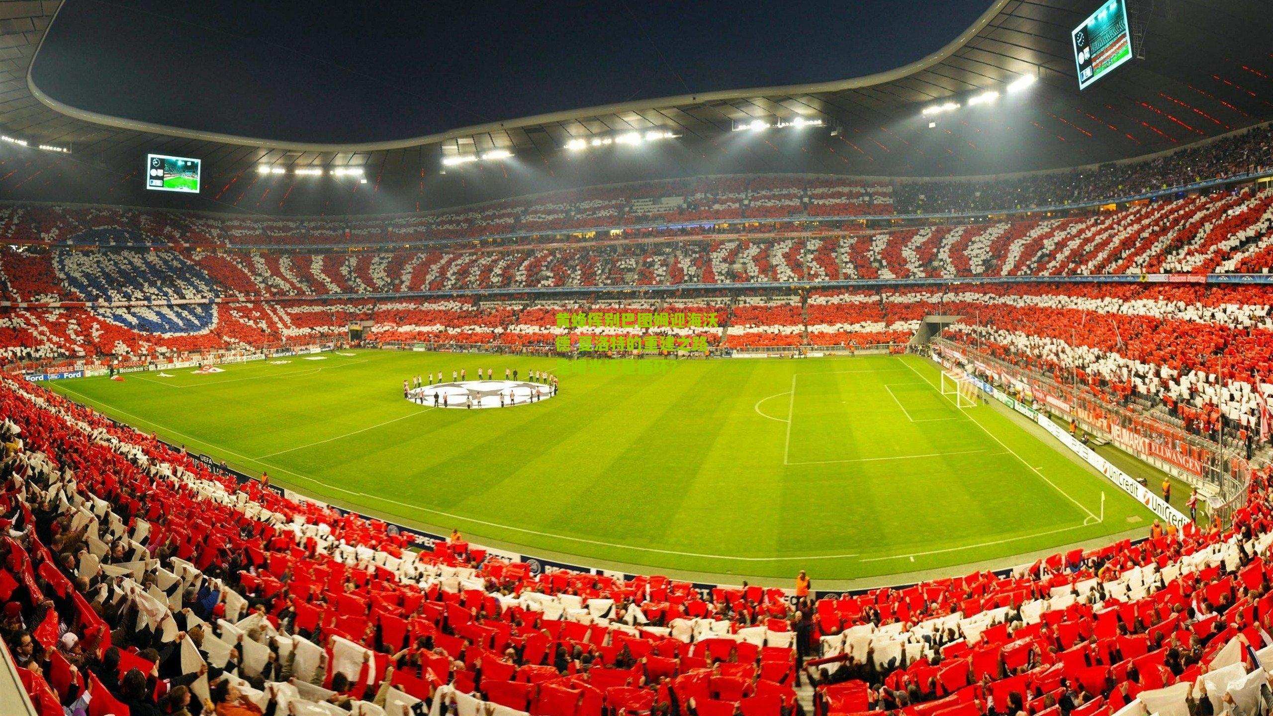 黄蜂挥别巴图姆迎海沃德 夏洛特的重建之路是曙光还是循环?