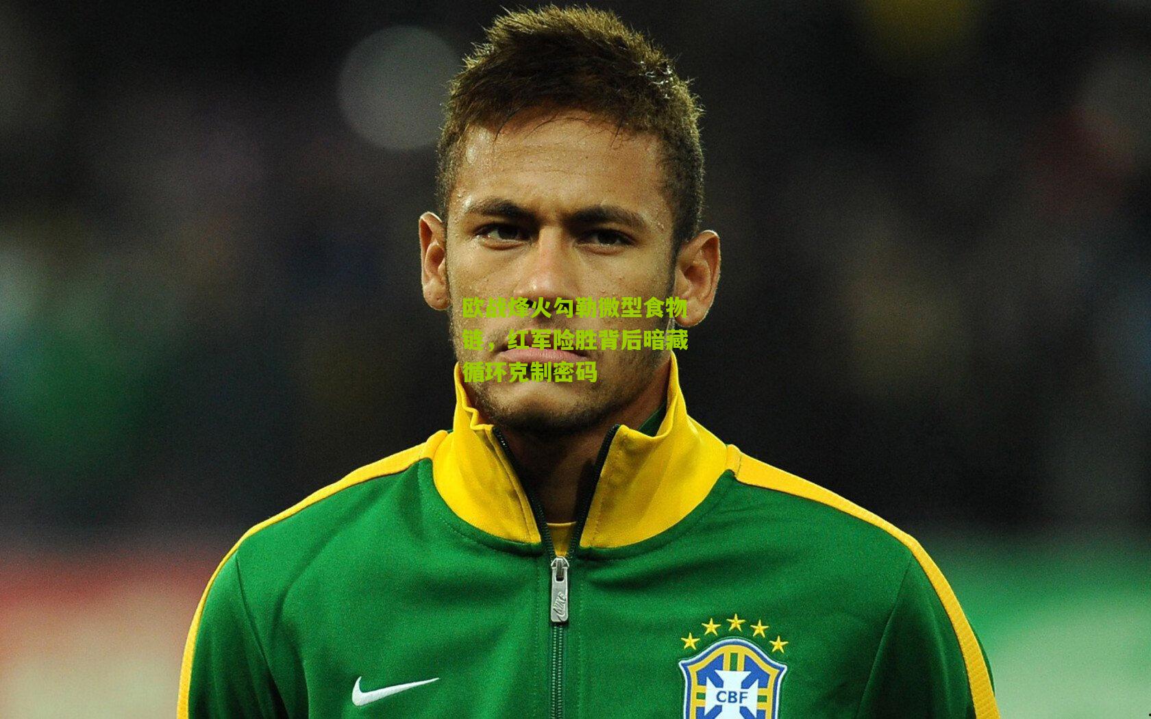 欧战烽火勾勒微型食物链,红军险胜背后暗藏循环克制密码