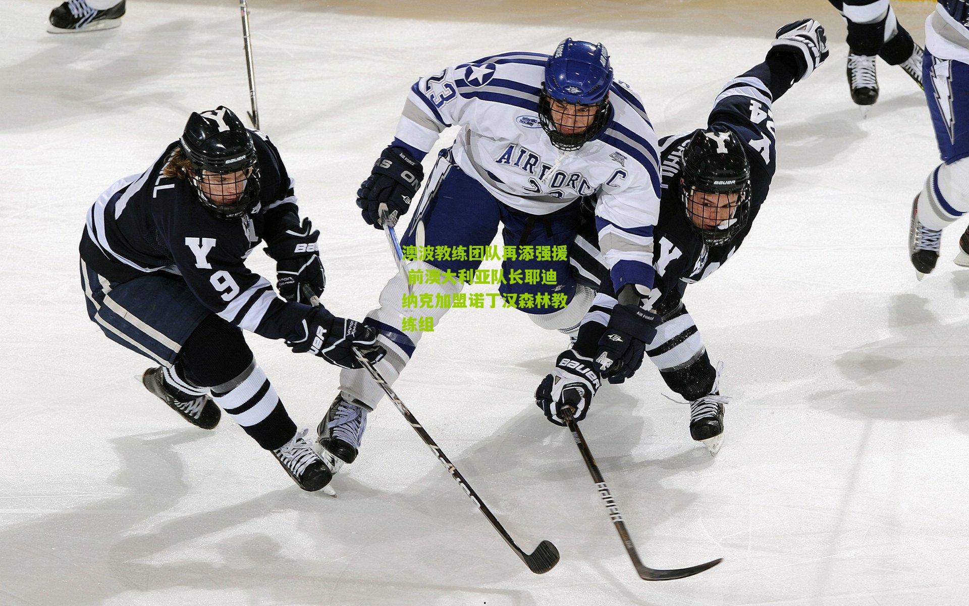 澳波教练团队再添强援 前澳大利亚队长耶迪纳克加盟诺丁汉森林教练组